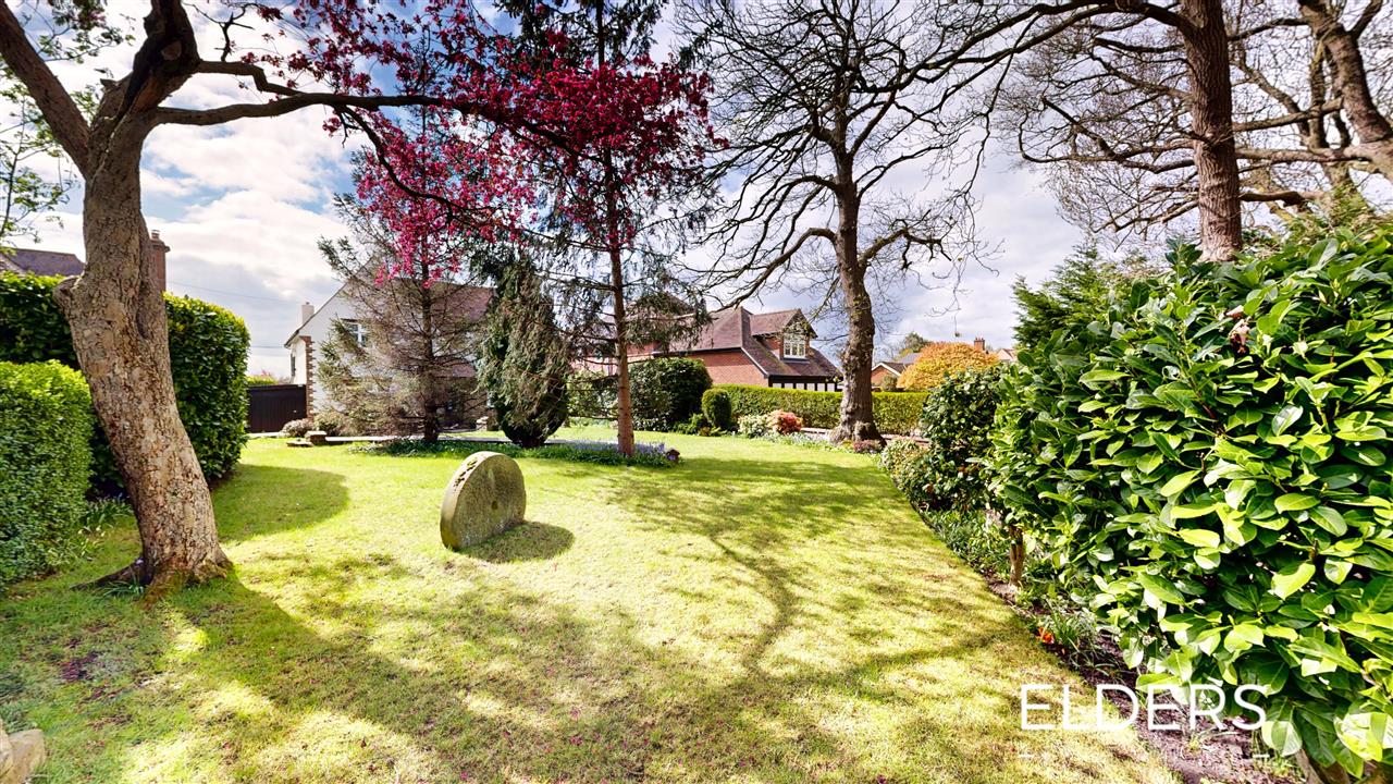 The Spinney - Picture 28